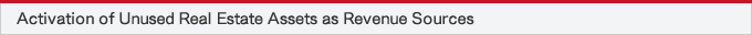 Activation of Unused Real Estate Assets as Revenue Sources