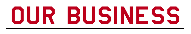 OUR BUSINESS
